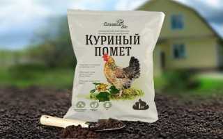 Куриный помет с опилками как удобрение для клубники