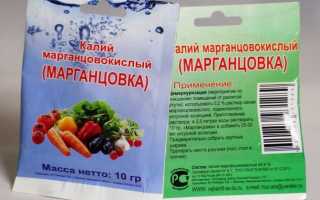 Как правильно развести марганцовку для обработки почвы