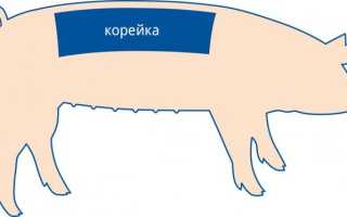 Свиная корейка