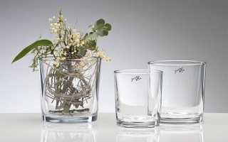 Орхидеи в стекле! + Эксперимент с новым Фаленопсисом )))