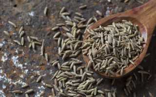 Черный тмин (лат. Nigella sativa) – полезные свойства и противопоказания