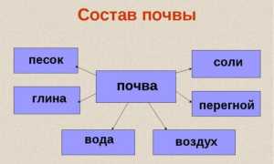 Восстановление плодородия почвы с помощью органического земледелия