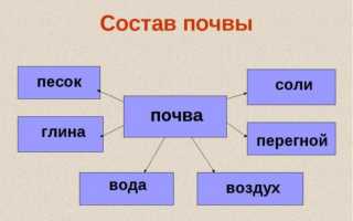 Восстановление плодородия почвы с помощью органического земледелия