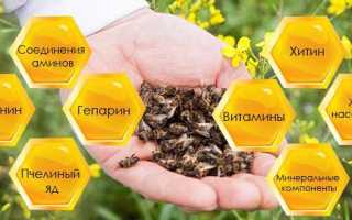 Пчелиный подмор: польза и вред, как принимать