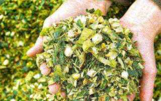 Бизнес план разведение бычков на мясо 50 голов