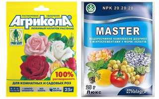 Крыжовник Уральский изумруд — особенности и характеристики кустарника