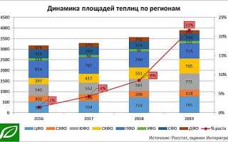 Россияне стали больше есть овощей защищенного грунта