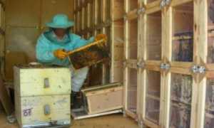 Особенности конструкции павильона для пчел