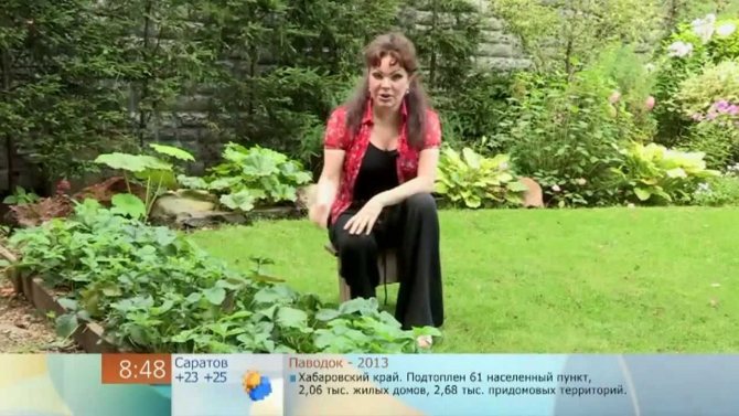 Нажмите, чтобы запустить видео