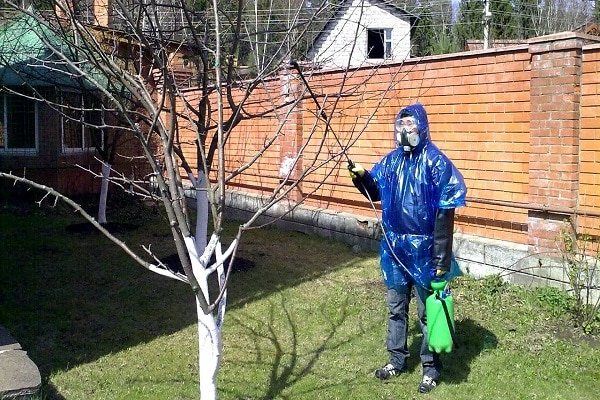 обработка дерева