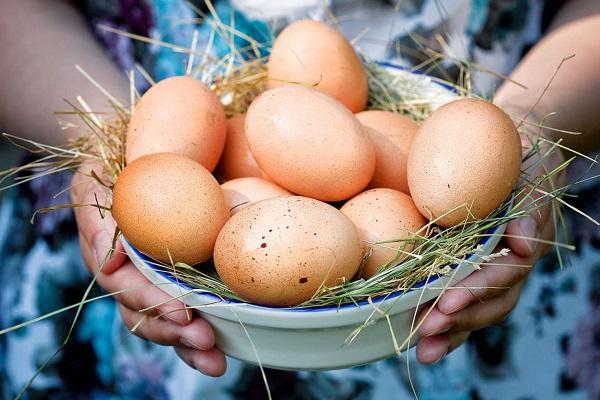 собранные продукты