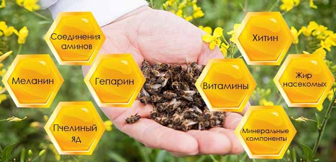 Состав пчелиного подмора