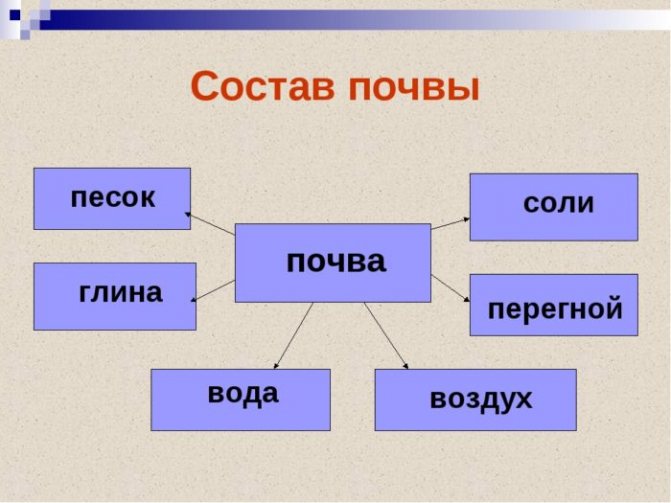 состав почвы