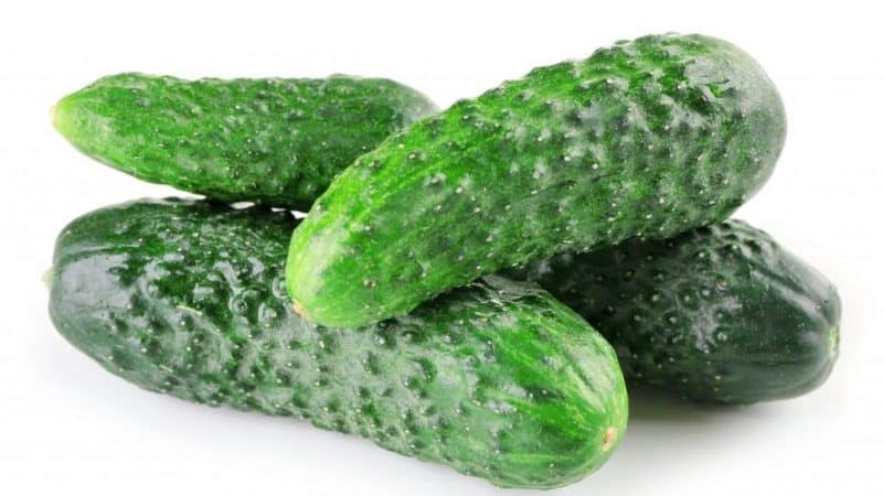 'Засолочные огурцы 